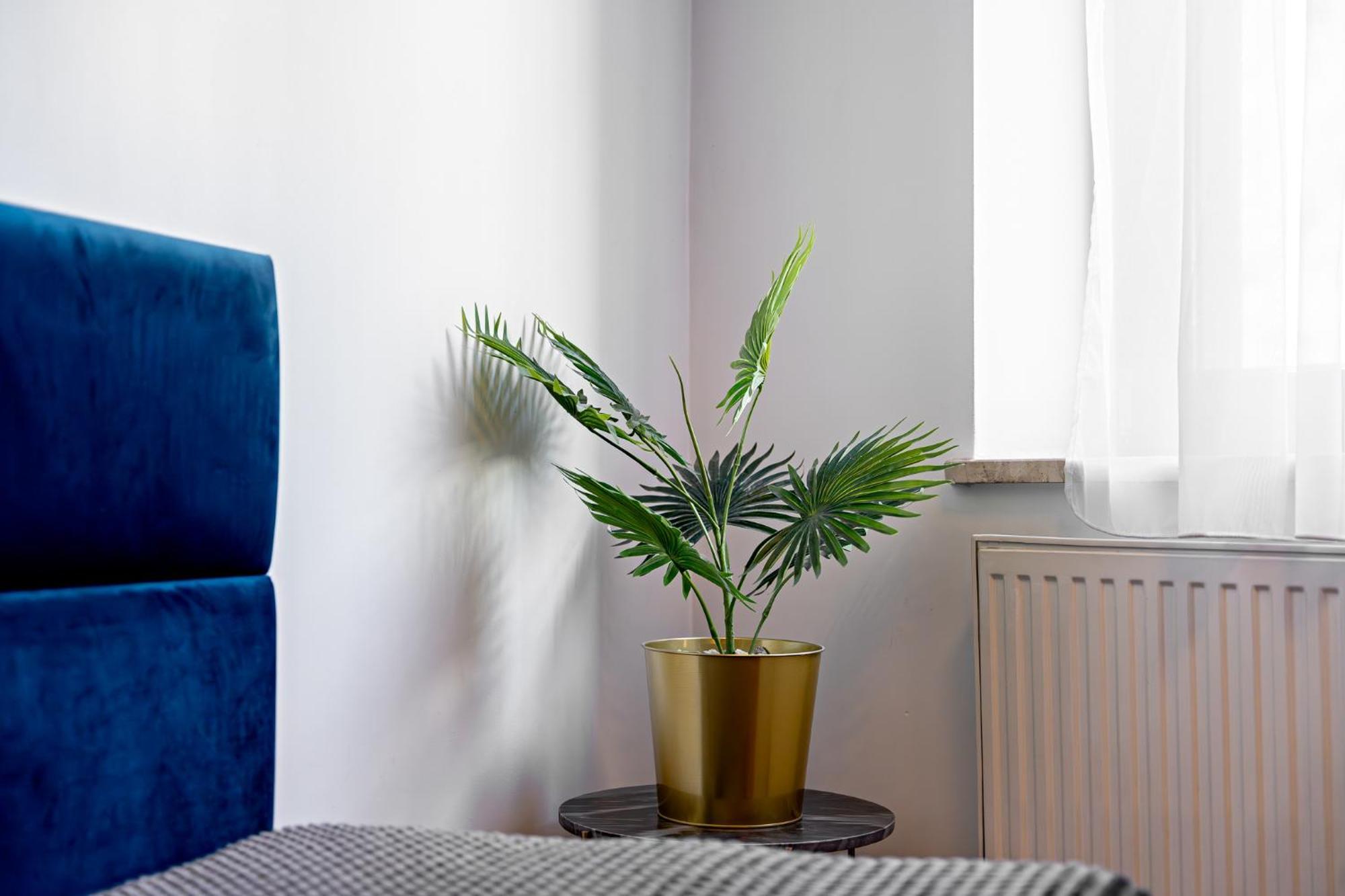 Akira Bed&Breakfast Wrocław Eksteriør billede